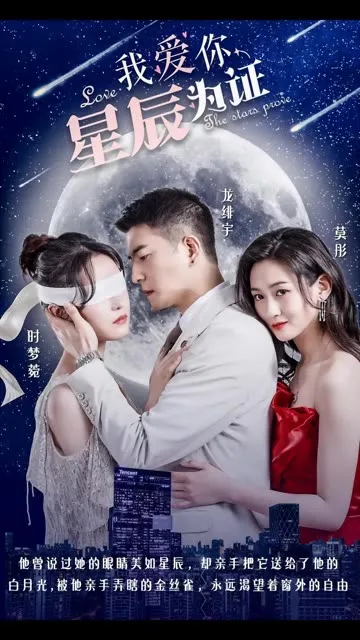 我爱你,星辰为证