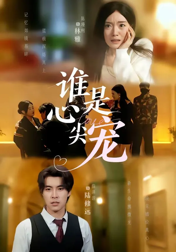 谁是心尖宠