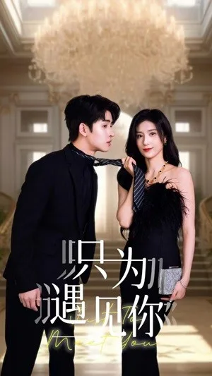 只为遇见你 短剧版