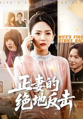 正妻的绝地反击