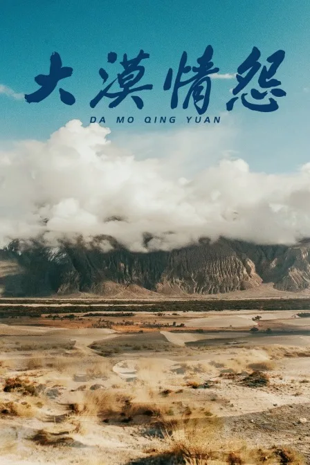 大漠情怨